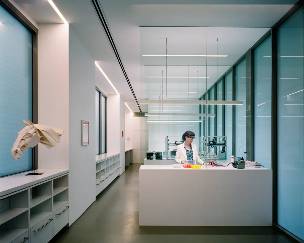 Comcork cork flooring installed in a light-filled Australian interior